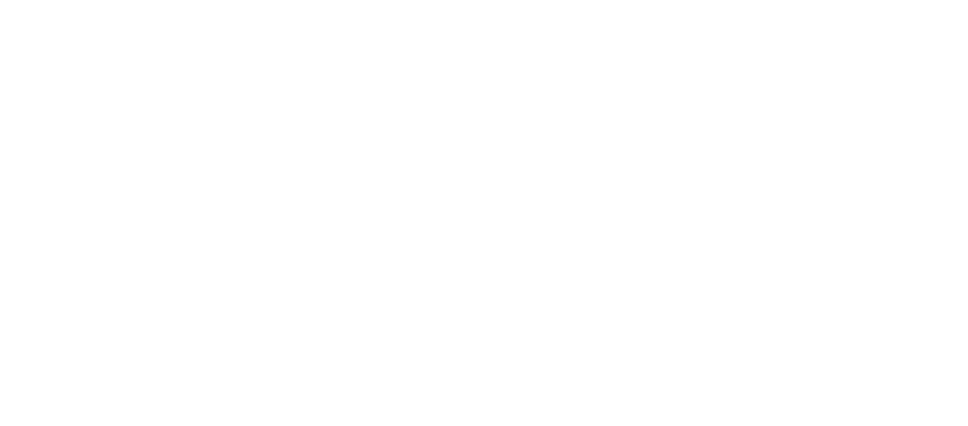 Mariani Migration Consultants